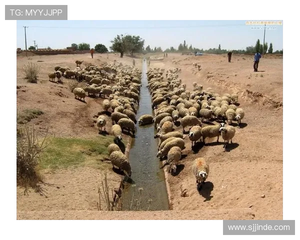 位于高原地区的德甲球队面临的地理挑战